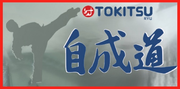 Logo Tokitsuryu