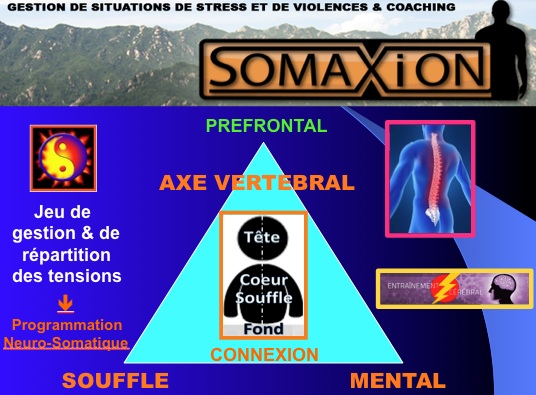 Somaxion